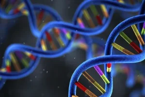 ROS1基因融合示意图