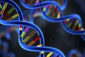 ROS1基因融合突变示意图