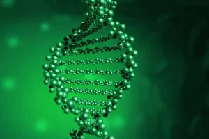 KRAS蛋白三维结构示意图