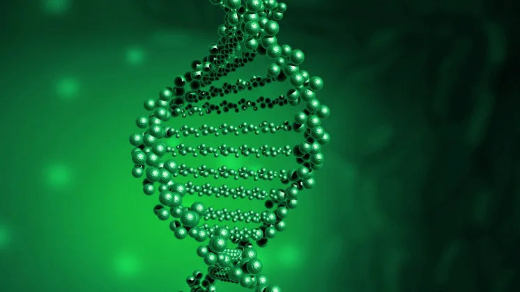 KRAS蛋白三维结构示意图