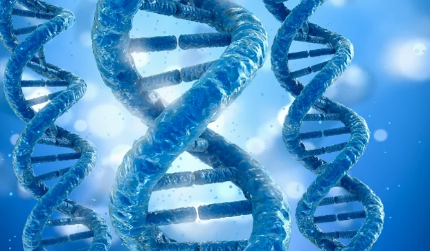 KRAS G12C突变示意图