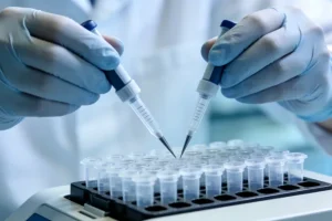 肝脏解剖结构与肝硬化结节示意图