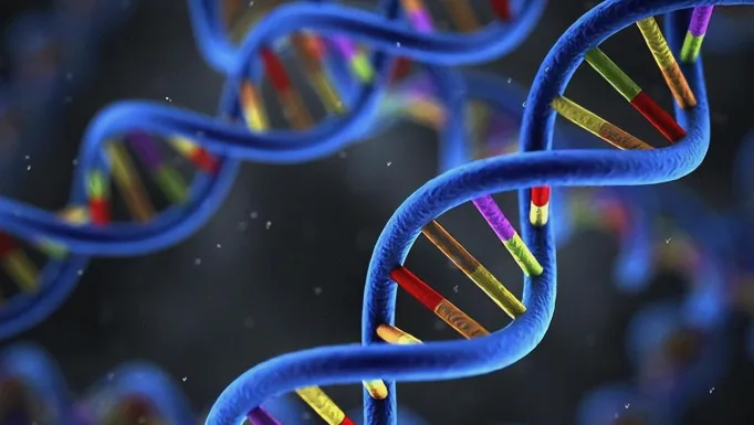 KRASG12C蛋白结构三维示意图