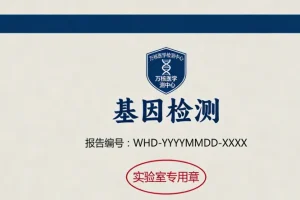 肝脏解剖示意图，标注肝细胞与胆管细胞位置