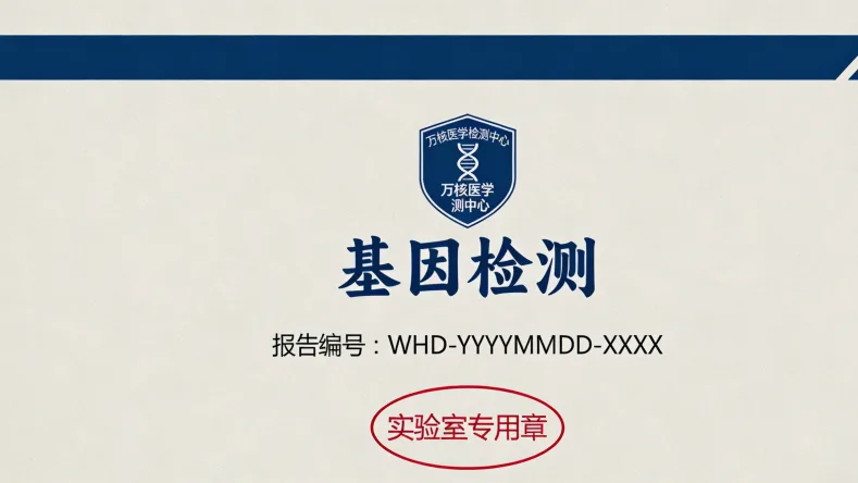 肝脏解剖示意图，标注肝细胞与胆管细胞位置