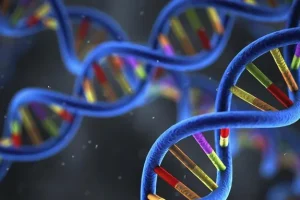 MET基因突变示意图