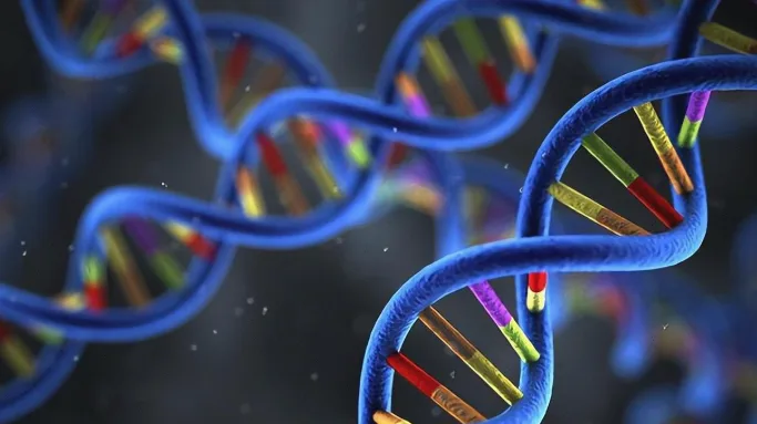 MET基因突变示意图