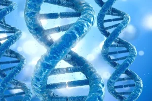 MET信号通路示意图