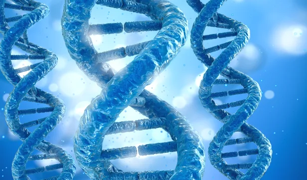 MET信号通路示意图