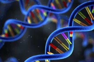 RET基因融合示意图展示分子机制