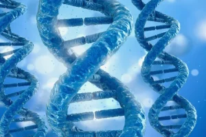 结直肠癌RET融合常见断裂位点示意图