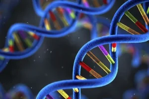 RET融合蛋白结构对比图