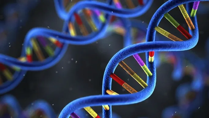 RET融合蛋白结构对比图