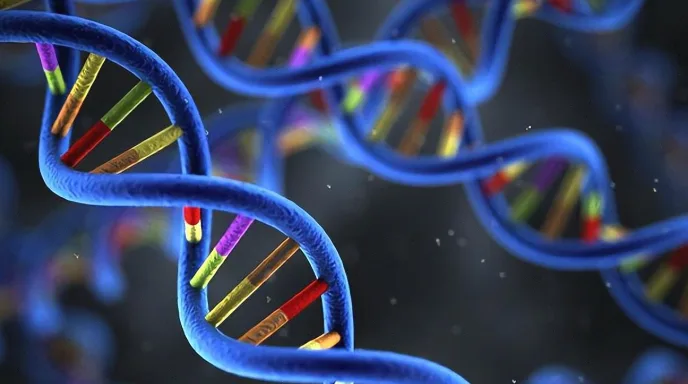 RET融合检测实验室操作场景