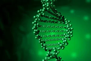 RET融合基因示意图