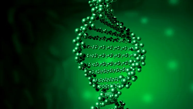 RET融合基因示意图