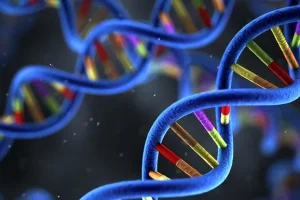 MAPK通路调控PD-L1机制示意图