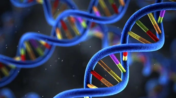 MAPK通路调控PD-L1机制示意图