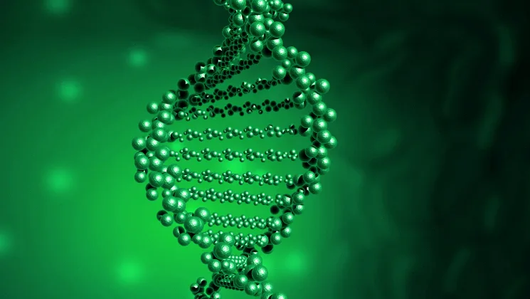 NTRK融合检测为什么贵？2026年检测方法与价格解析