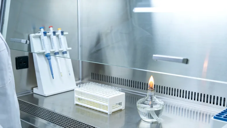 基因检测报告对比图