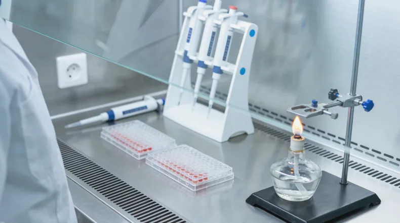 靶向治疗与免疫治疗作用机制对比示意图