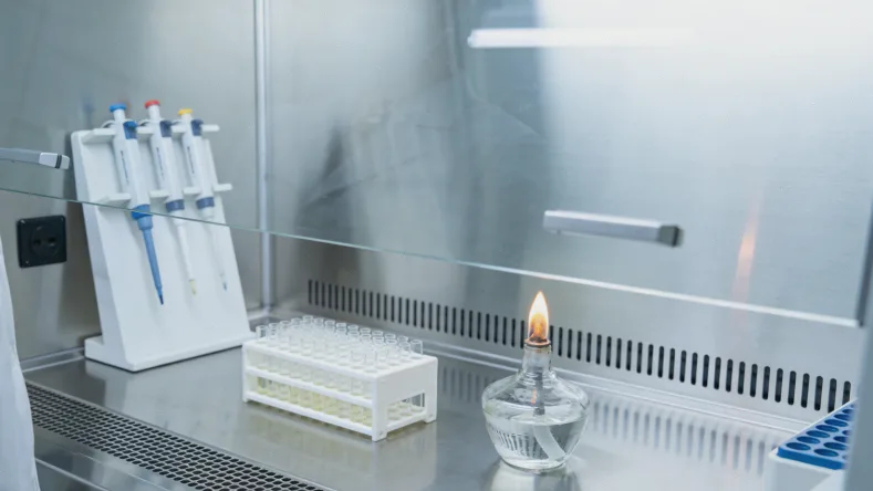 形象化的药物代谢酶基因示意图