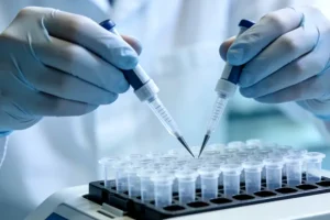 叶酸在人体内的代谢路径示意图