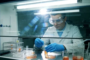 染色体与DNA双螺旋结构示意图