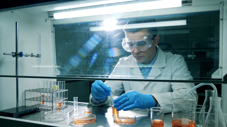 染色体与DNA双螺旋结构示意图