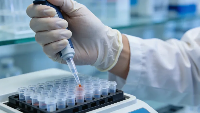 一碳单位循环代谢通路示意图