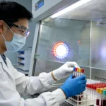 BRAF V600突变信号通路示意图