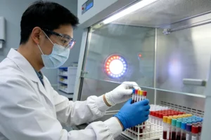 BRAF V600突变信号通路示意图