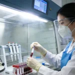 BRAF突变信号通路示意图