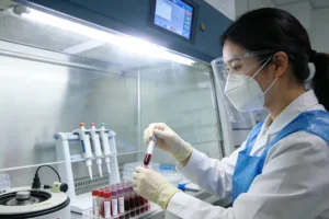 BRAF突变信号通路示意图