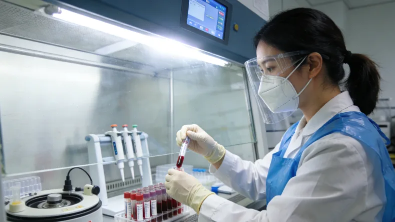 BRAF突变信号通路示意图