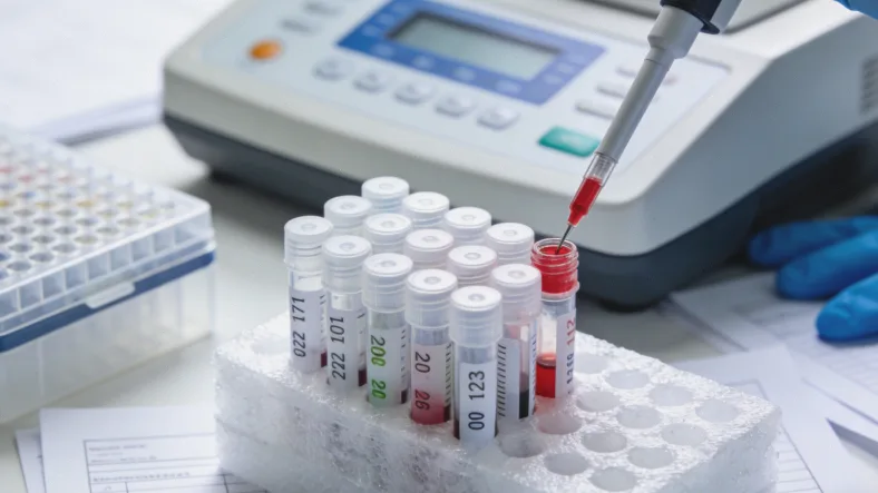 PD-L1评分与生存期关联曲线