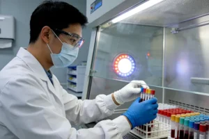 甲胎蛋白检测采血示意图