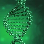 医生分析脑脊液检测报告