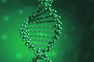 医生分析脑脊液检测报告