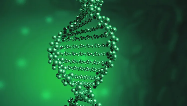 医生分析脑脊液检测报告