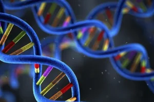 医生正在进行腰椎穿刺操作示意图