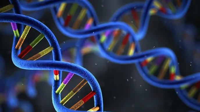 医生正在进行腰椎穿刺操作示意图