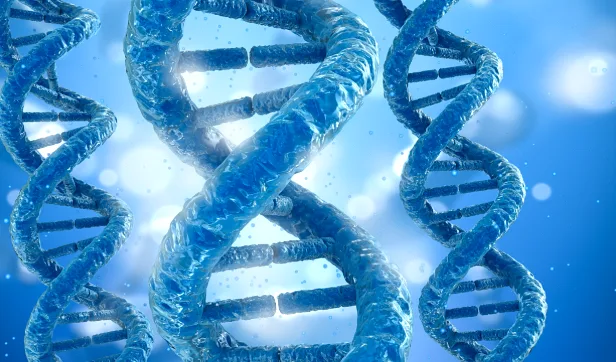 mNGS技术检测流程示意图