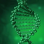 基因与生活环境相互作用示意图