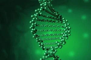 基因与生活环境相互作用示意图