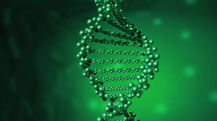 基因与生活环境相互作用示意图