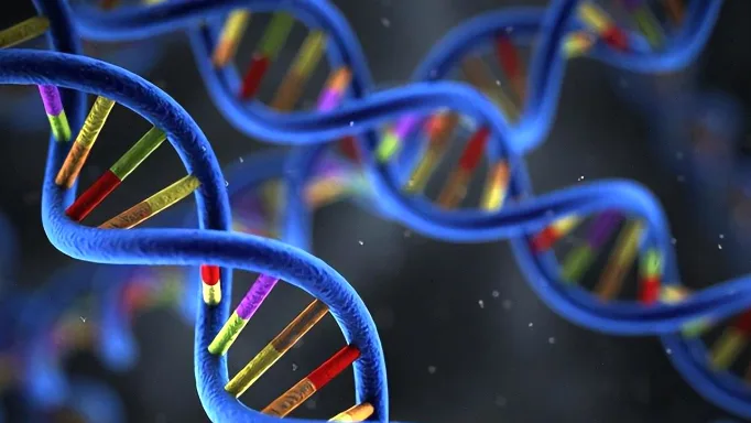 高血压与糖尿病遗传关联机制示意图