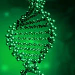 基因测序报告与血压计并列摆放