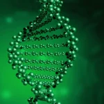 基因检测采样流程示意图