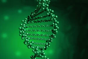 基因检测采样流程示意图